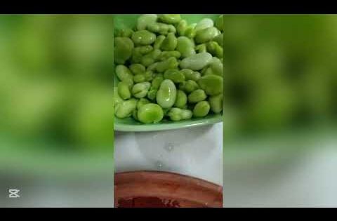 طريقة تحضير طبيخة تاع الفول والجلبانة والقرنون تاع زمان من تراث العاصمة الاصيل/ samacim cuisine